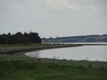 Halshuisene + Enebaerodde Beach (Denemarken)